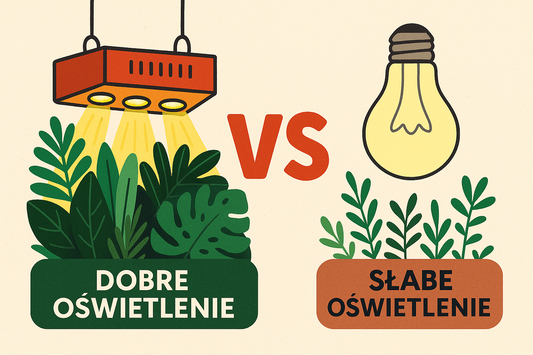 Światło dla roślin – Kompletny poradnik growera: fotony, widmo, LED i więcej